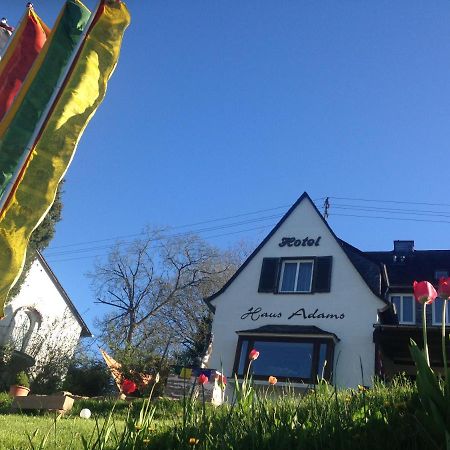 Haus Adams - Das Wohlfuehl Gaestehaus 보파르트 외부 사진